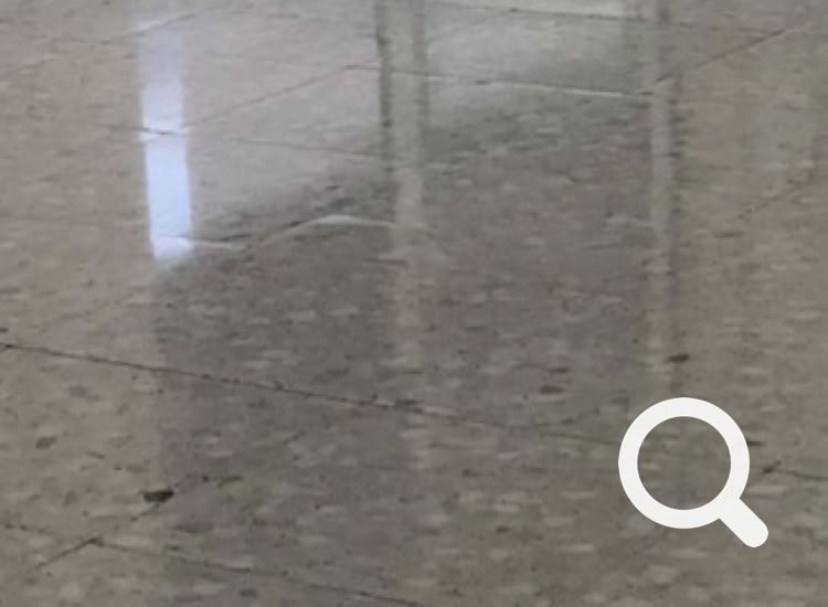granito terrazzo poncage cristallisation